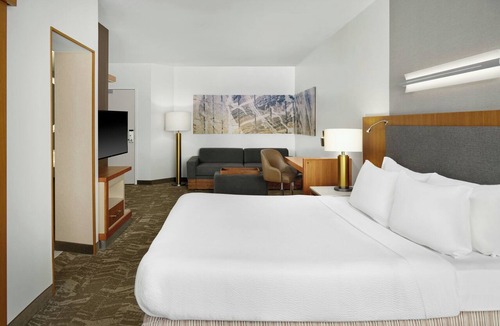 Romulus Hotel | SpringHill Suites by Marriott Detroit Metro Airport Romulus