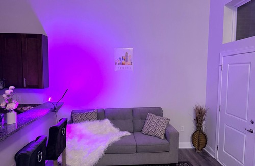Charlotte Apartment | Stylish Modern Studio, Steps from Dining & Entertainment