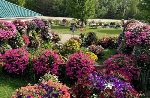 St Ignace Hotel | Sunset Motel at Armand's Gardens