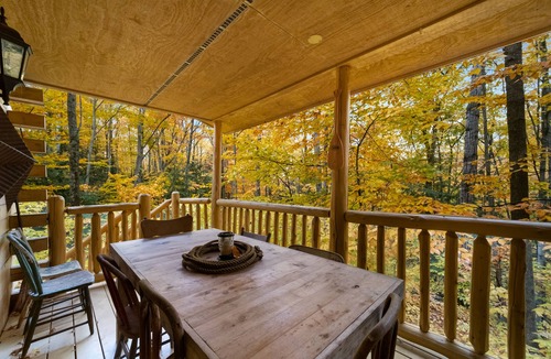 Alanson Cabin | Super Cozy, A/C, steps from trails, kid friendly