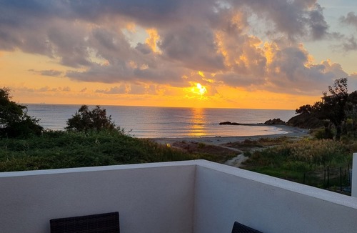 Bravone Apartment | Superb studio feet in the water on the beach