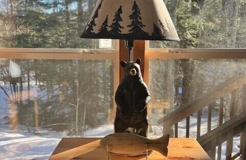 Sawyer County Cabin | Tall Pines Retreat on Chippewa Flowage