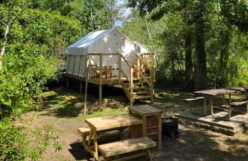 Springfield Other | Tentrr - Louisiana Tickfaw State Park - Woodland H - Single Camp