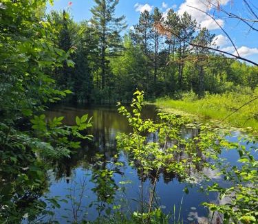Clam Lake House | The Hidey-Ho cabin
