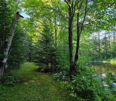 Clam Lake House | The Hidey-Ho cabin