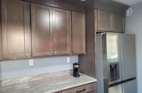Royal Oak Apartment | *the Michigander* Entire Queen BR suite! @MicroLux