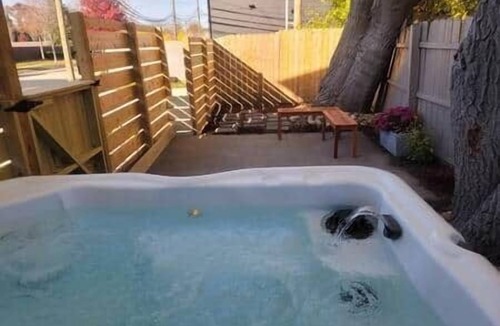 Royal Oak Apartment | *the Michigander* Entire Queen BR suite! @MicroLux