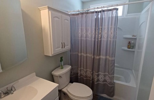National City Cabin | The Sand Lake Wolf Den