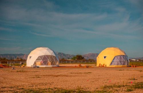 Willcox Other | The Wine Dome
