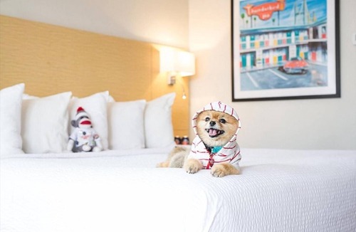 Yamacraw Village Hotel | Thunderbird Inn