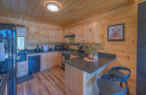 Murphy Cabin | Tiny cabin - Big Amenities - King Bed - Secure Dog Yard