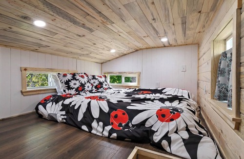 Central Point House | Tiny Living at its Finest… 🐞