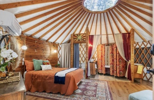 Belfair Cabin | Tranquil Forest Yurt Retreat in Washington State.