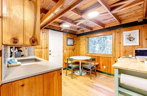 Government Camp Cabin | Tranquil & historic cabin with fireplace & deck views - near skiing