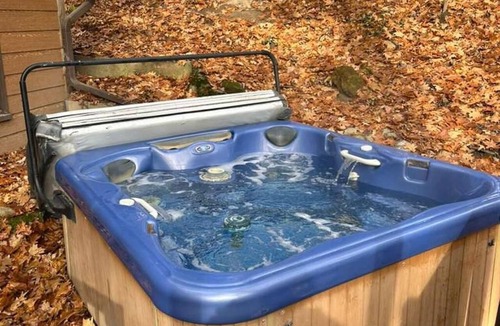 Gobles Cottage | Treetop Cottage-Private Mill Lake-HotTub-Kayaks-Firepit-Boats -DOGS ok! No Fees!
