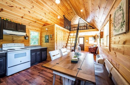 Broken Bow Cabin | Walnut: Sleep 4, Tiny Cabin, Pets, Near Park/Lake