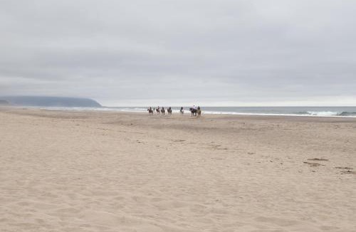 Kiwanda Shores House | Whales Tail Cottage