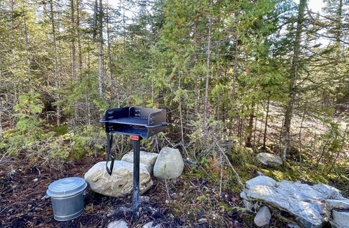 Drummond Island House | White Birch Cabin - Johnswood Off Grid Cabins on Drummond Island
