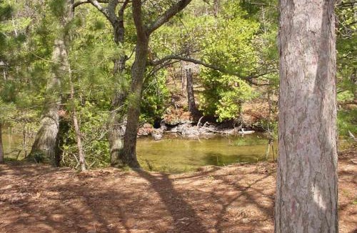 Glen Arbor House | Wilderness 36