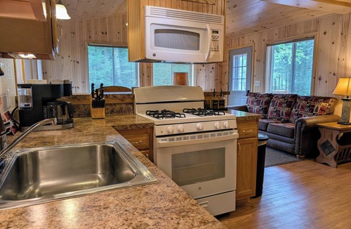 Sayner Cabin | Wolf Point Cabin | Lake Access, AC, Fire Pit, Fireplace, Deck