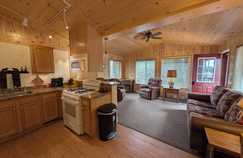 Sayner Cabin | Wolf Point Cabin | Lake Access, AC, Fire Pit, Fireplace, Deck