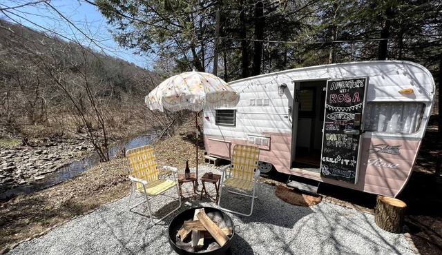 1963 Vintage Shasta “Rosa”