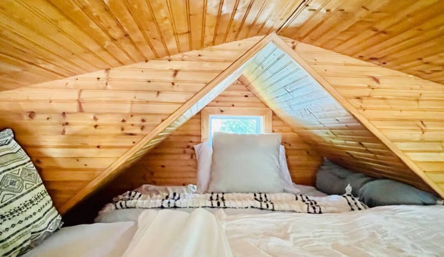 2 Cozy Bear Fun Cabins, Hiking Fire pit, waterfalls with Wifi kitchen Tree swing