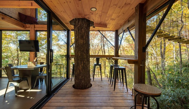 360° Glass Treehouse in the Canopy - The Cūbus