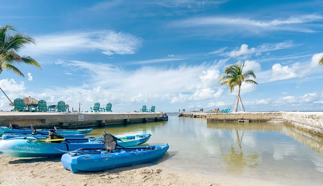 Adventure & Serenity: Private Sandy Beach, Free Bikes & Paddleboards!