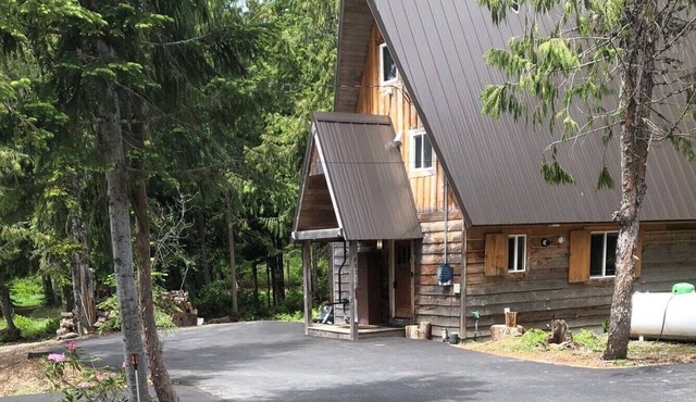 Amazing Government Camp Cabin Short Walk to SkiBowl or Downtown