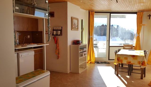 Apartment/flat - CHAMROUSSE directly on the ski run in Chamrousse