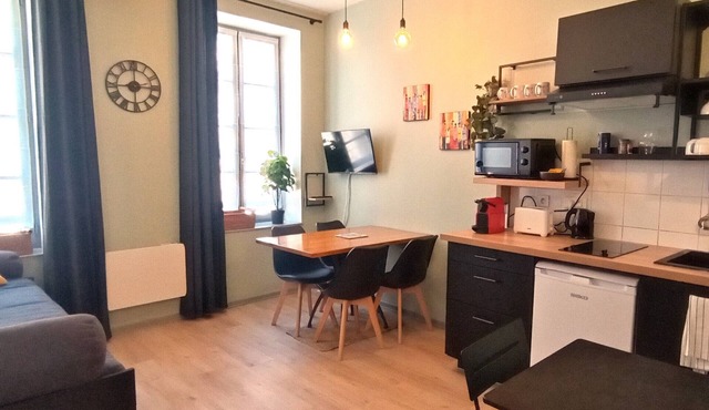 Appartement Proche Cathédrale in Albi