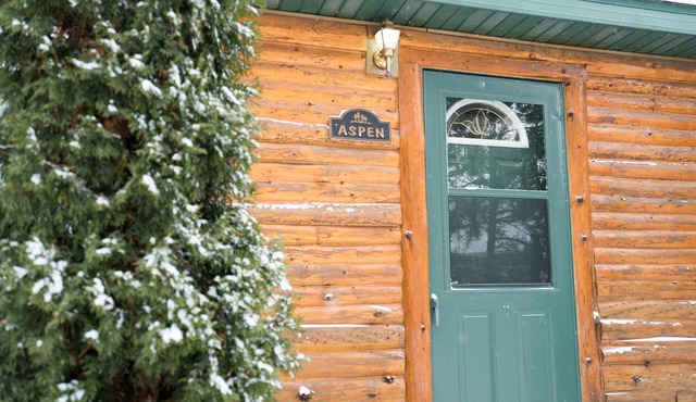 Aspen Cottage 2BR 2BA only 1 mile to Crystal Mtn
