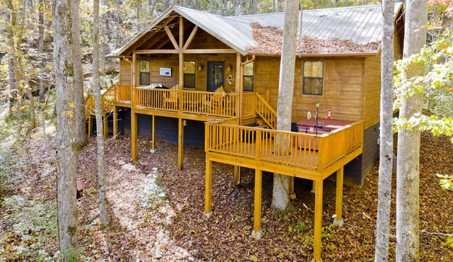 Bear Necessities 2/2 cabin private location close to Helen. NO HOT TUB