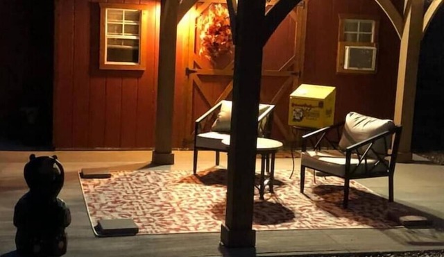 BEAR Tiny House Getaway on the Clearwater River in Lenore