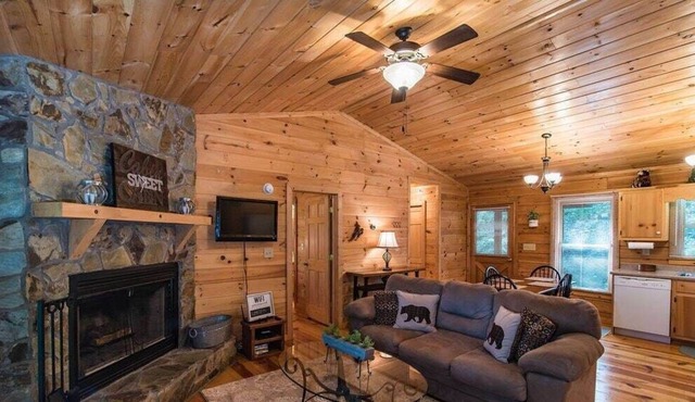 Beary Irresistable - Hot tub & Prime Location!