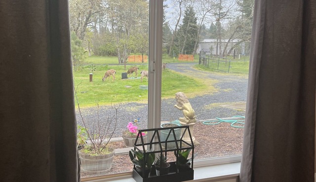 Beautiful and peaceful house in Veneta Oregon!