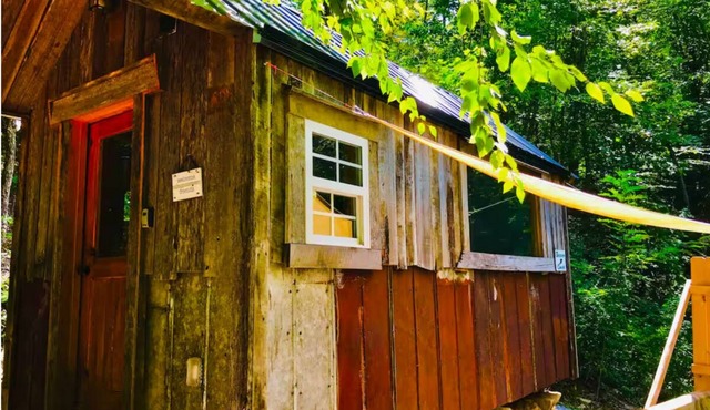 Beaver Creek Forest Cabin