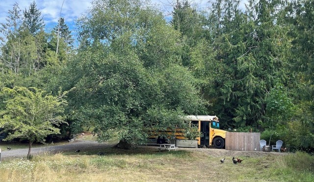 Bee Haven Bus at the RMR