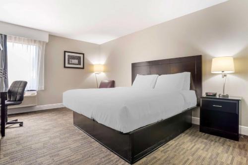 Best Western Bayou Inn