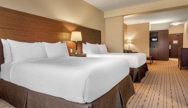 Best Western Plus Bathurst Hotel & Suites in Bathurst