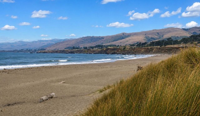 Bodega Bay~Beach Retreat~Easy Walk to Sand-Surf-Fun–Fisherman’s Cottage