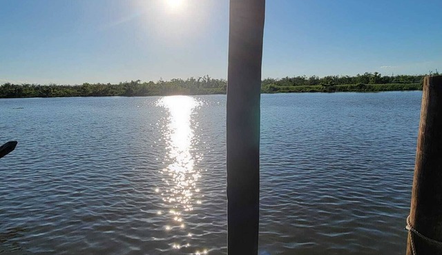 Book and enjoy the outdoors! See weekday discounts! 30min from New Orleans