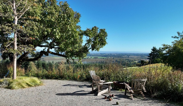 Brand new lodging, perched high atop the Dundee Hills @ White Walnut Estate!