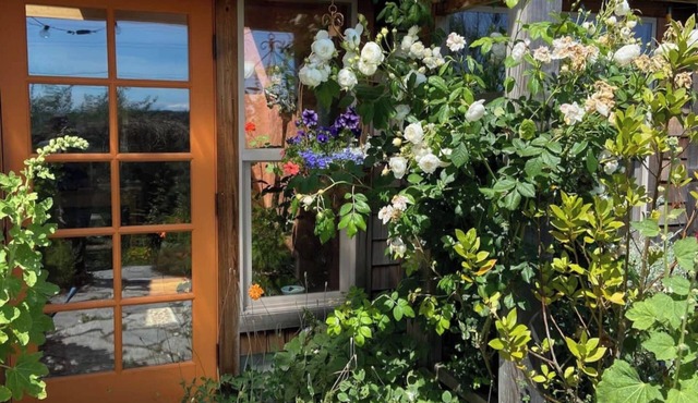 Bright art-filled home, fruit trees, valley view