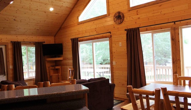 Cabin 14 - Beautiful updated cabin with large deck and spacious kitchen/living space in Deer River
