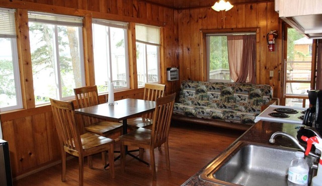 Cabin 6 - Classic cabin with a dockside deck in Deer River