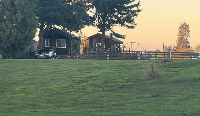 Cabin with a View, pet friendly pets only