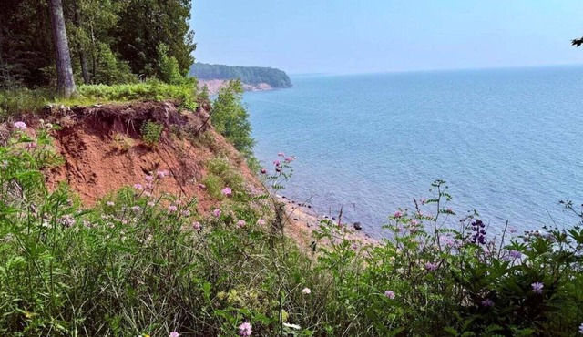 Cedarberry Bluff-Cottage with Lake Superior Views