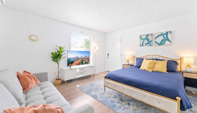 Central Hyde Park studio close to UT, Moody Center